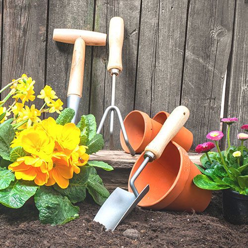 Gardening tools in a flower garden