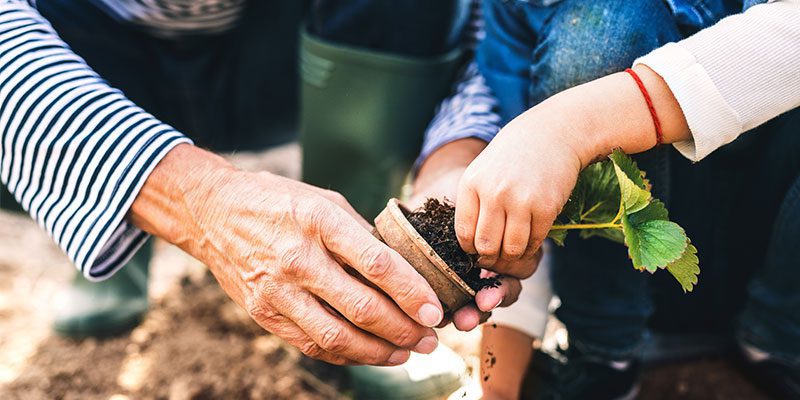 Adult and child gardening
