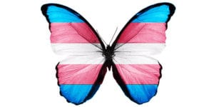 Trans flag butterfly