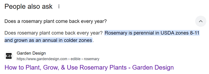 A screenshot of a Google Search Featured Snippet showing questions people asked about rosemary plants with an answer provided by AI overview and a link to the webpage featuring the info