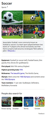 A screenshot of a Google Search Knowledge Panel featuring basic details and information about soccer