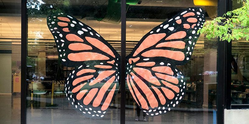 Butterfly painting on window