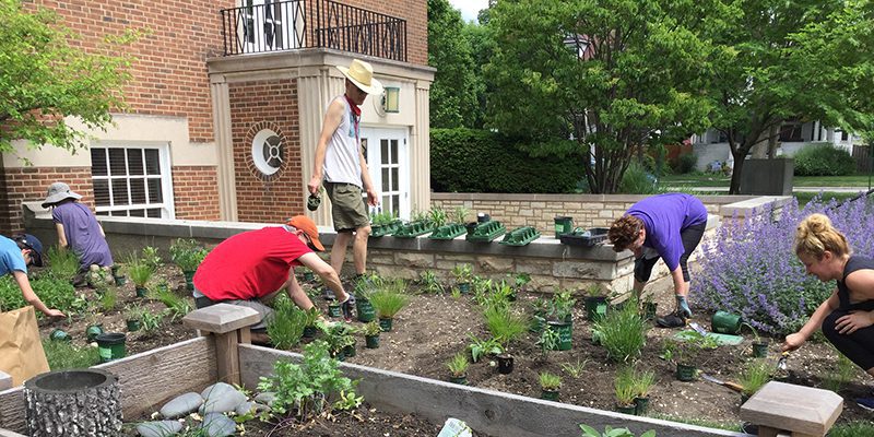 People planting a garden outside the Maze Branch Library