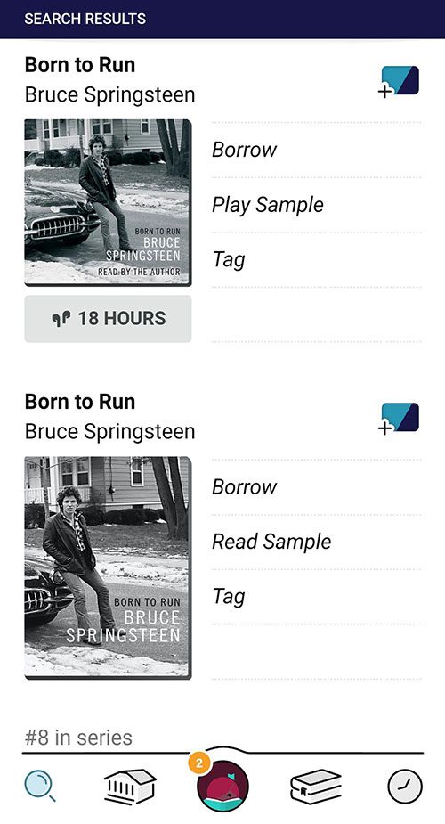 Screenshot of Libby search results