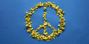 Flower petals arranged in the shape of a peace sign