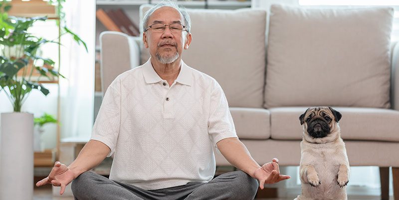 Person meditating next to dog standing on its hind legs