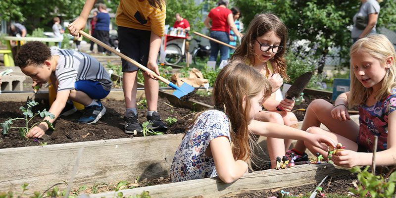 Kids planting in garden beds