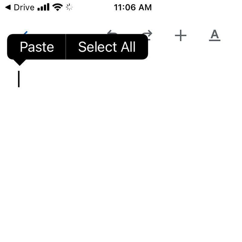 A screenshot of an iPhone screen with a cursor inside of a blank text box and a menu above that reads Paste and Select All