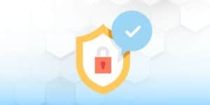 Lock icon centered inside a shield with a check mark bubble floating above