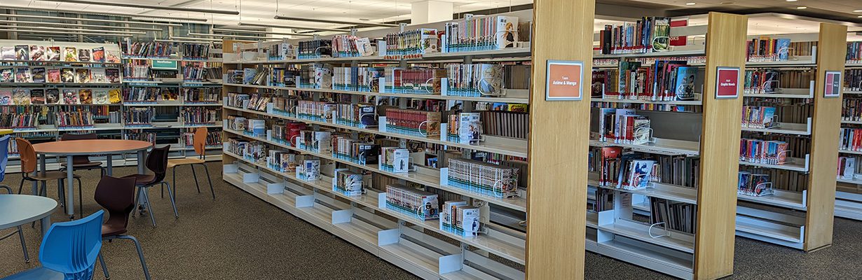 Rows of library shelves