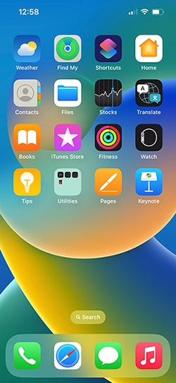 iPhone home screen