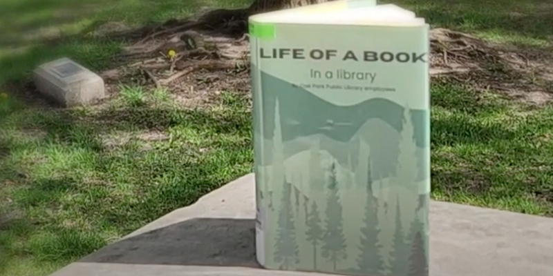 Life of a Book
